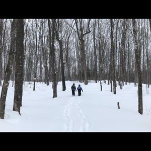 Meet your Posher, Cailin